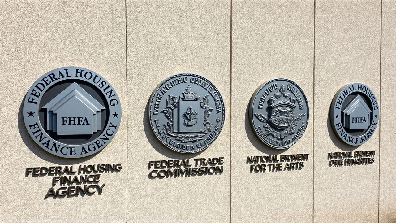 Looking Ahead: Regulatory Landscape and Next Steps